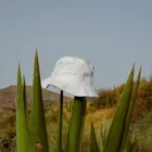 Bucket hat mock-up on top of an Agave plant in a desert environment