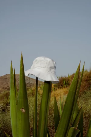 Bucket hat mock-up on top of an Agave plant in a desert environment