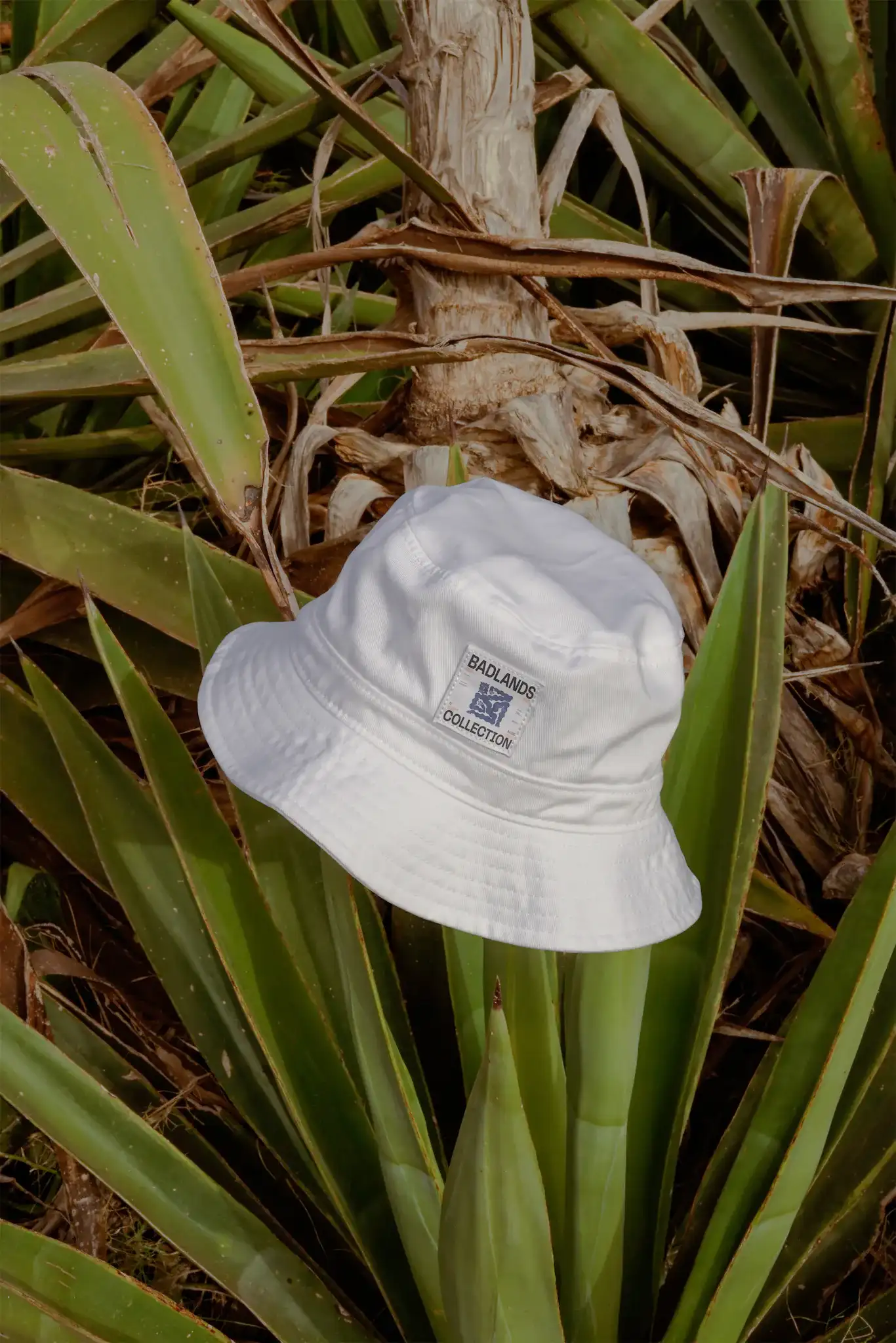 Bucket hat mock-up on top of an Agave plant