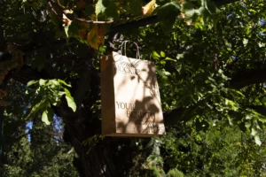 Kraft paper bag mockup hanging on a tree.