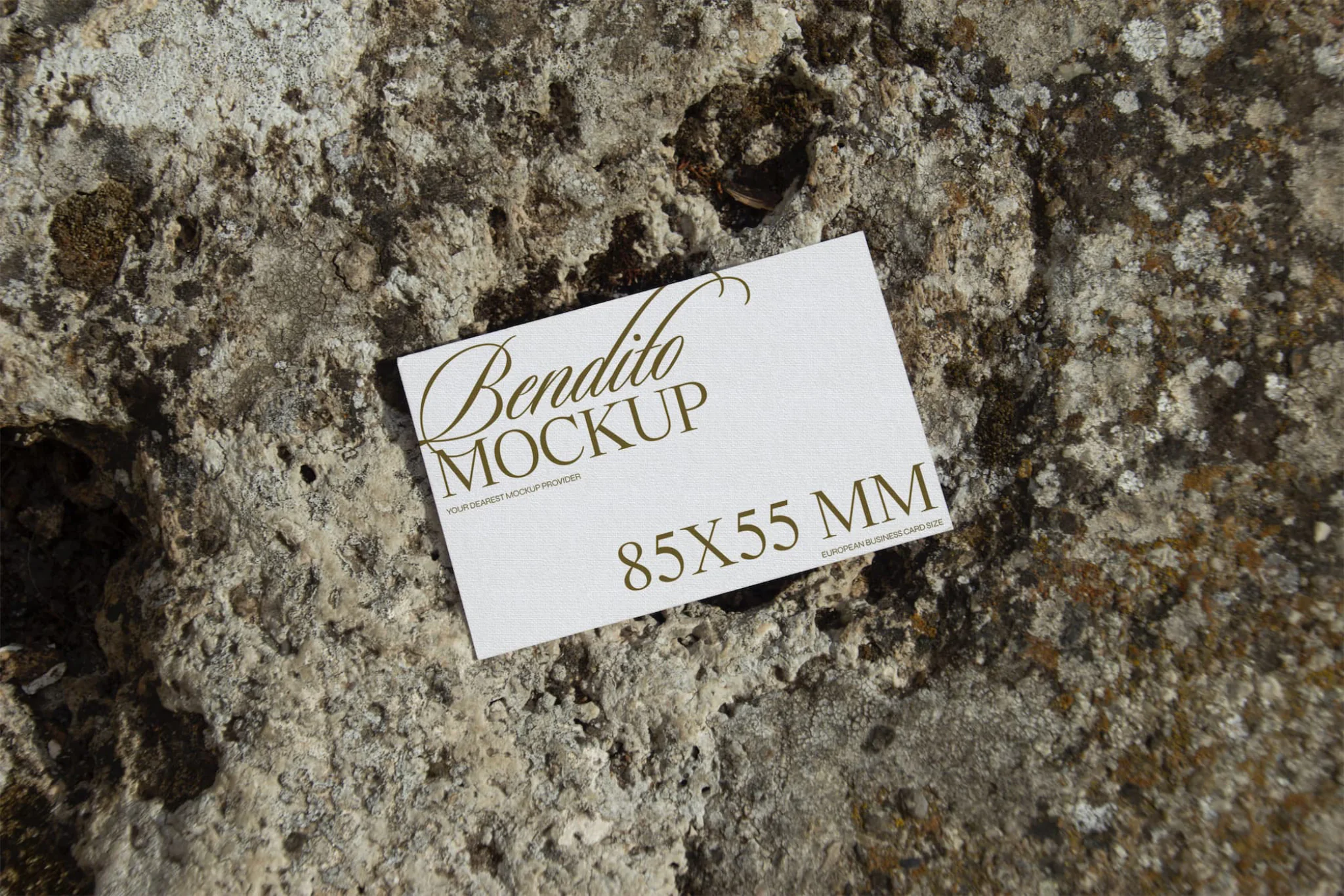 Business card mockup over natural stone background.