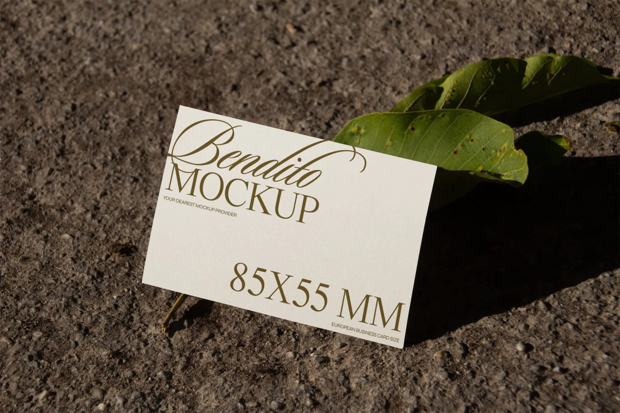 Business card mockup with natural background.