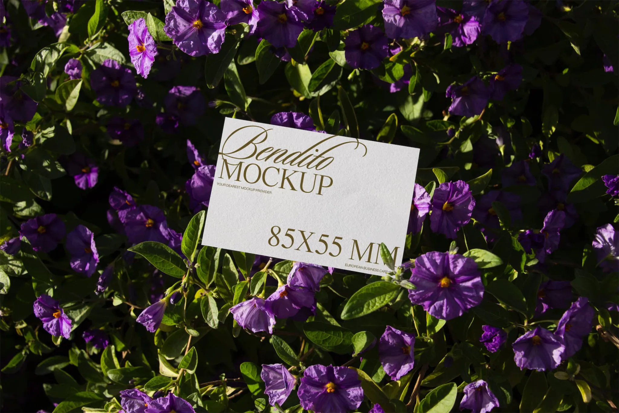 Business card mockup with floral background.