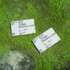 Two business card mockup on a rusty and oxide background.