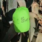 Baseball cap placed on a cactus leave receiving sunlight.