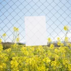 Poster mockup hanging in a fence in a flower field.