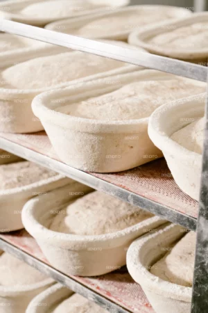 Close-up of proofing bread dough loaves in traditional baskets on a rack.