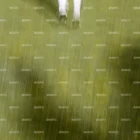 Blurred image of a person walking on grass, visible from the knees down, wearing white socks and shoes. The scene is softly lit, with shadows from trees cast on the grass. The word BENDITO is watermarked repeatedly.